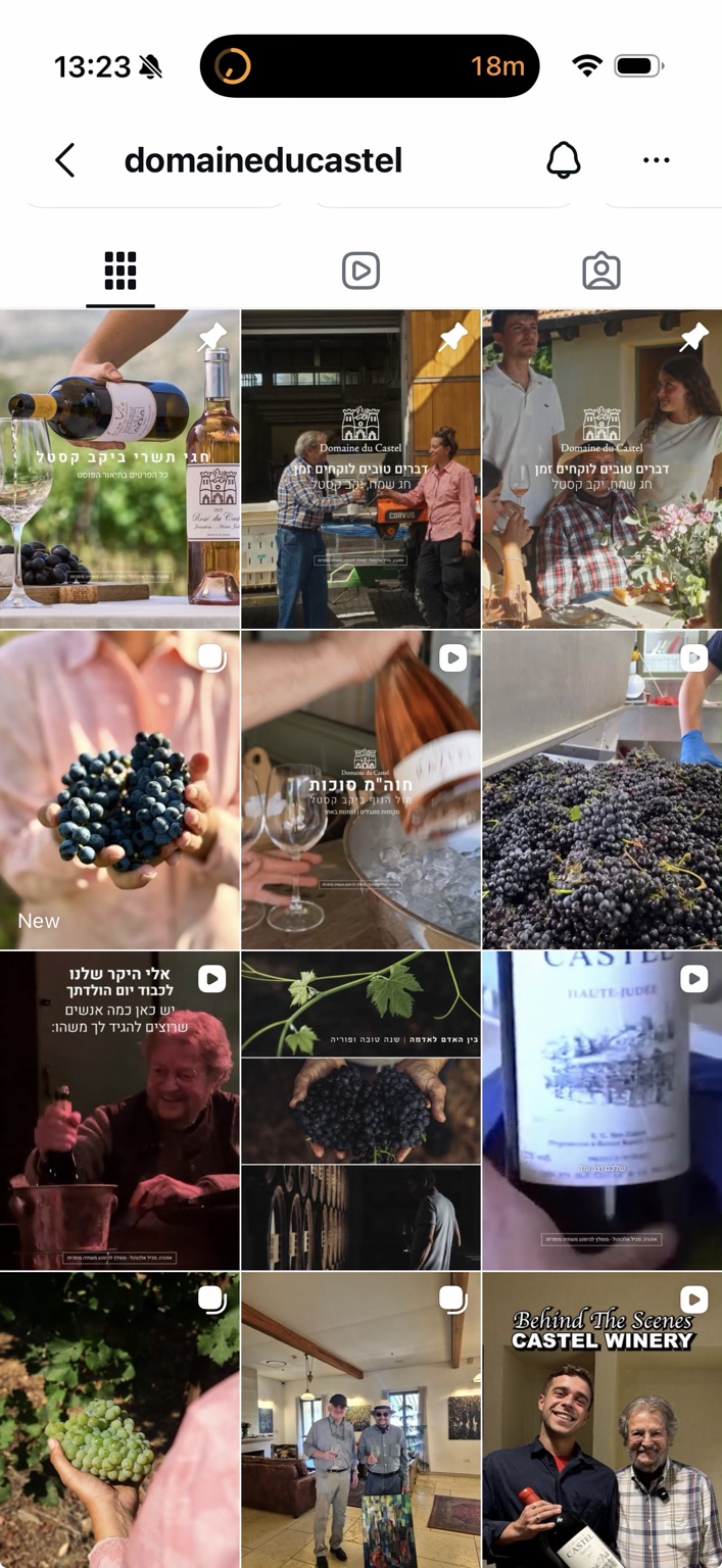 Grapes at Castel’s harvest